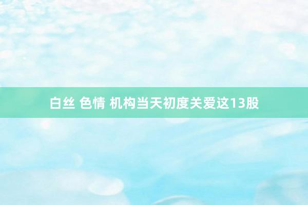 白丝 色情 机构当天初度关爱这13股