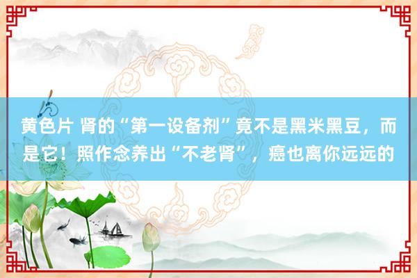 黄色片 肾的“第一设备剂”竟不是黑米黑豆，而是它！照作念养出“不老肾”，癌也离你远远的