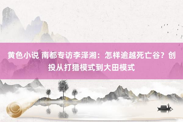 黄色小说 南都专访李泽湘：怎样逾越死亡谷？创投从打猎模式到大田模式