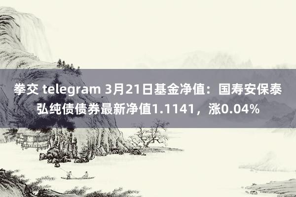拳交 telegram 3月21日基金净值：国寿安保泰弘纯债债券最新净值1.1141，涨0.04%