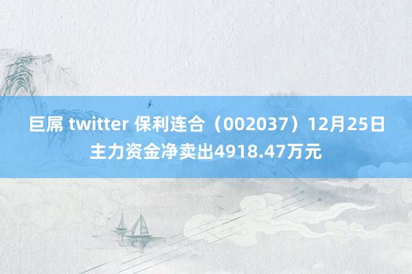 巨屌 twitter 保利连合（002037）12月25日主力资金净卖出4918.47万元